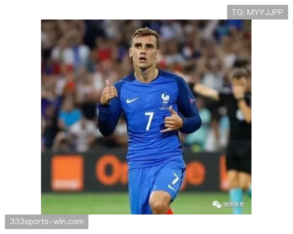 格列兹曼与本泽马国家队进攻角色及效率对比分析